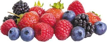 Types of Berries